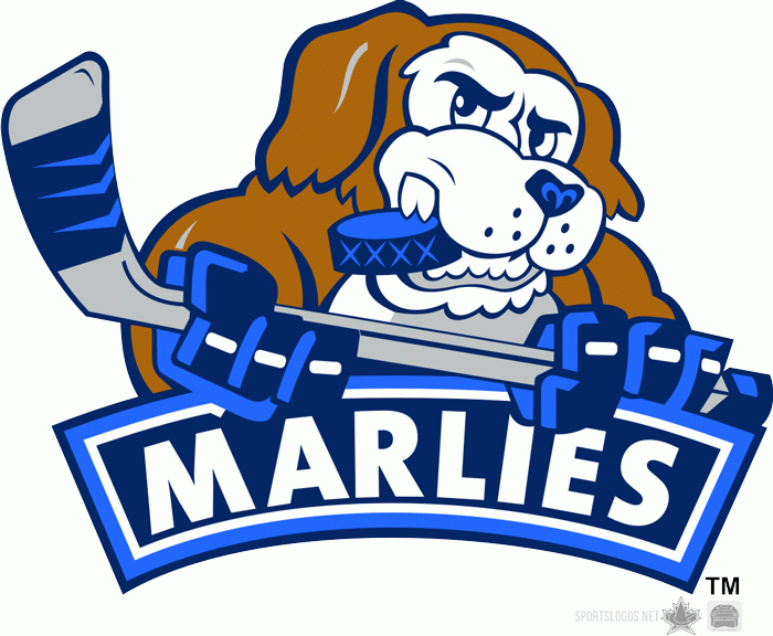 Toronto Marlies 2008 09-2009 10 Alternate Logo decal supplier